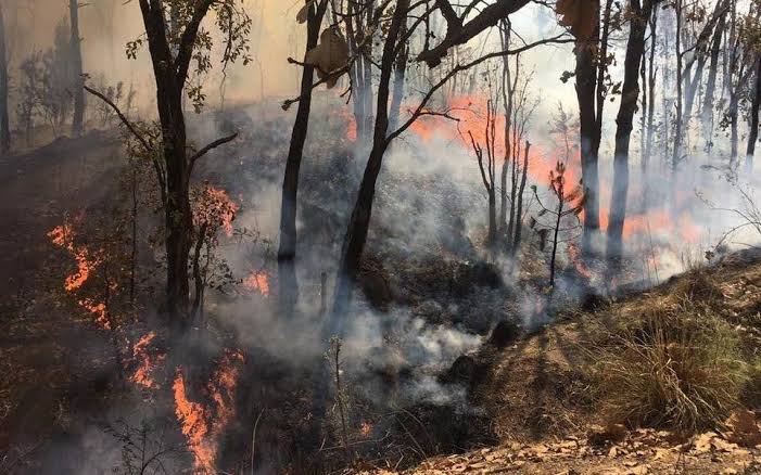 Declaran Emergencia Atmosférica en ZM de Guadalajara por incendio en el ...