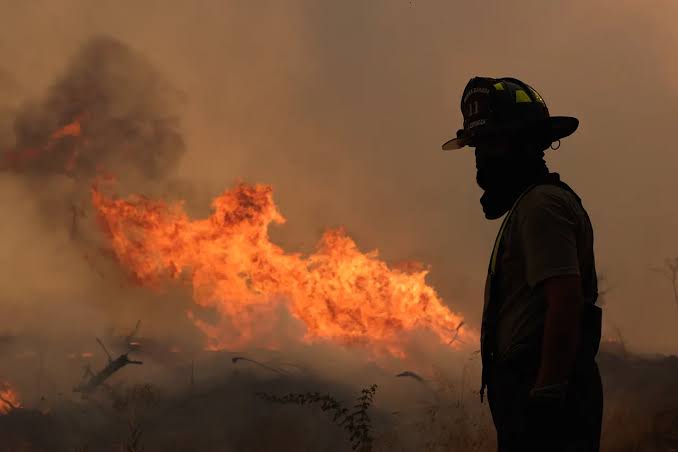 ¡Arde México! Se reportan 126 incendios forestales